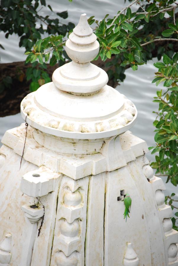 The Shaharkot By The Lake Hotel Udaipur Bagian luar foto